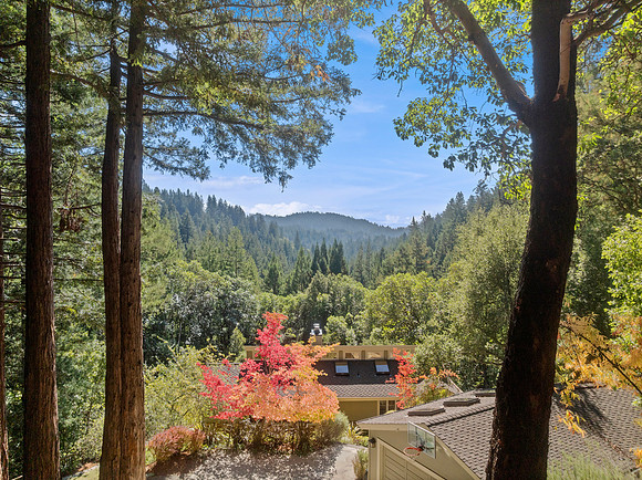 Aerial real estate photography of a luxury home in Los Gatos California